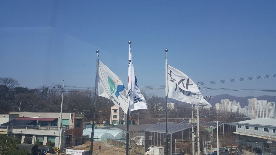 추사 김정희 박물관 관람